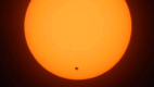 Venustransit