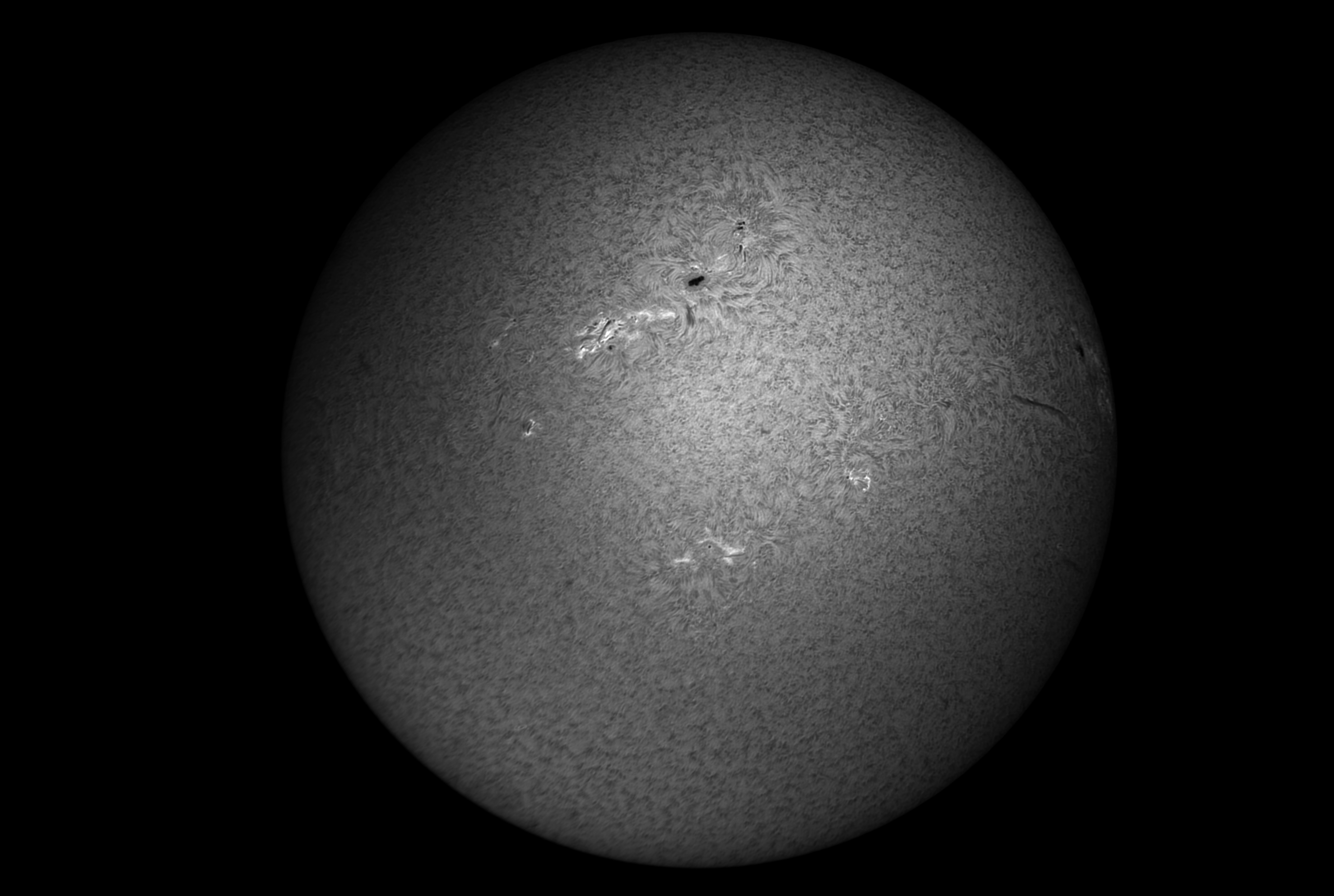 detailreiche schwarz-weiß Aufnahme der vollen Sonnenoberfläche vom 28.03.22