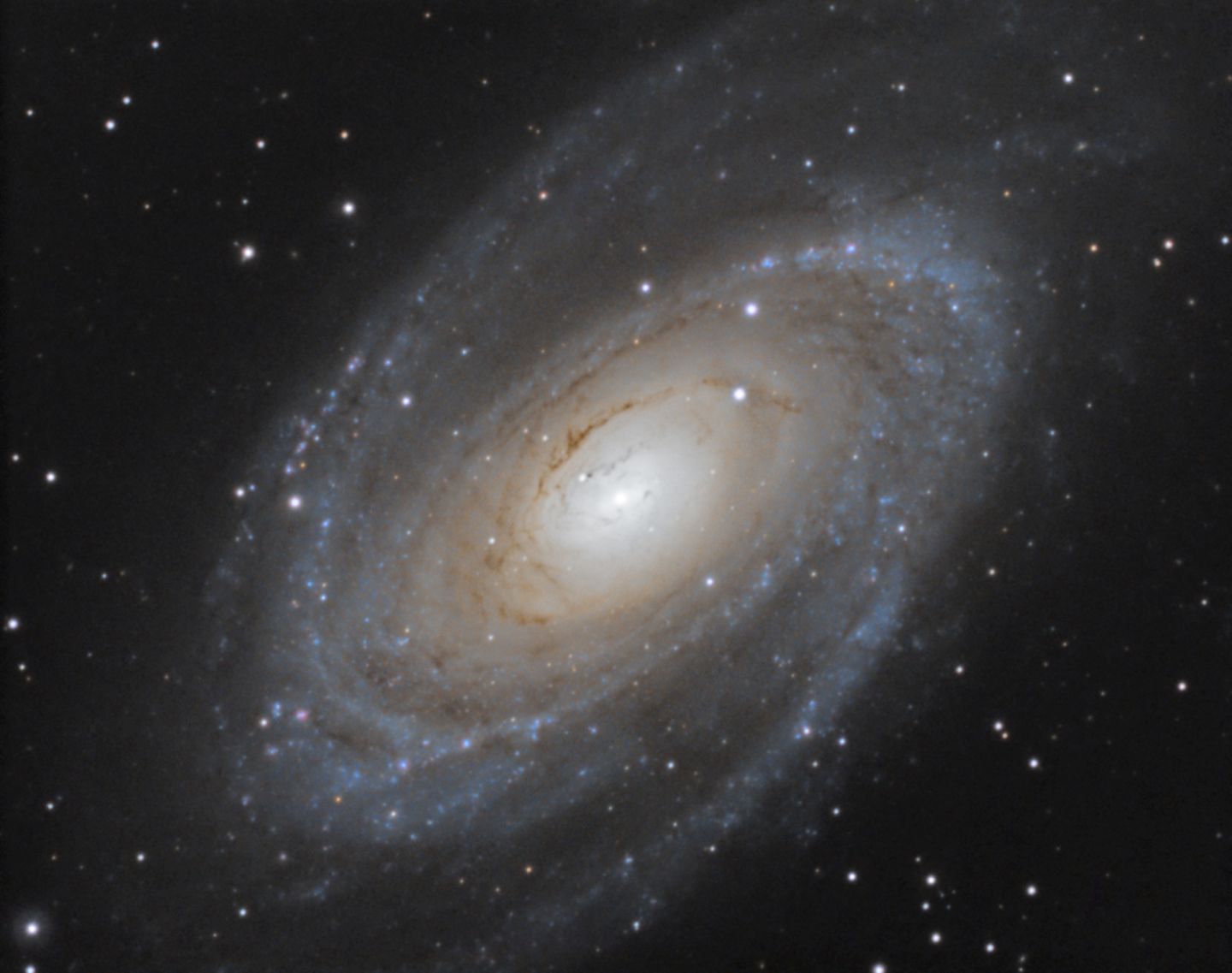 M81 Bode Galaxie