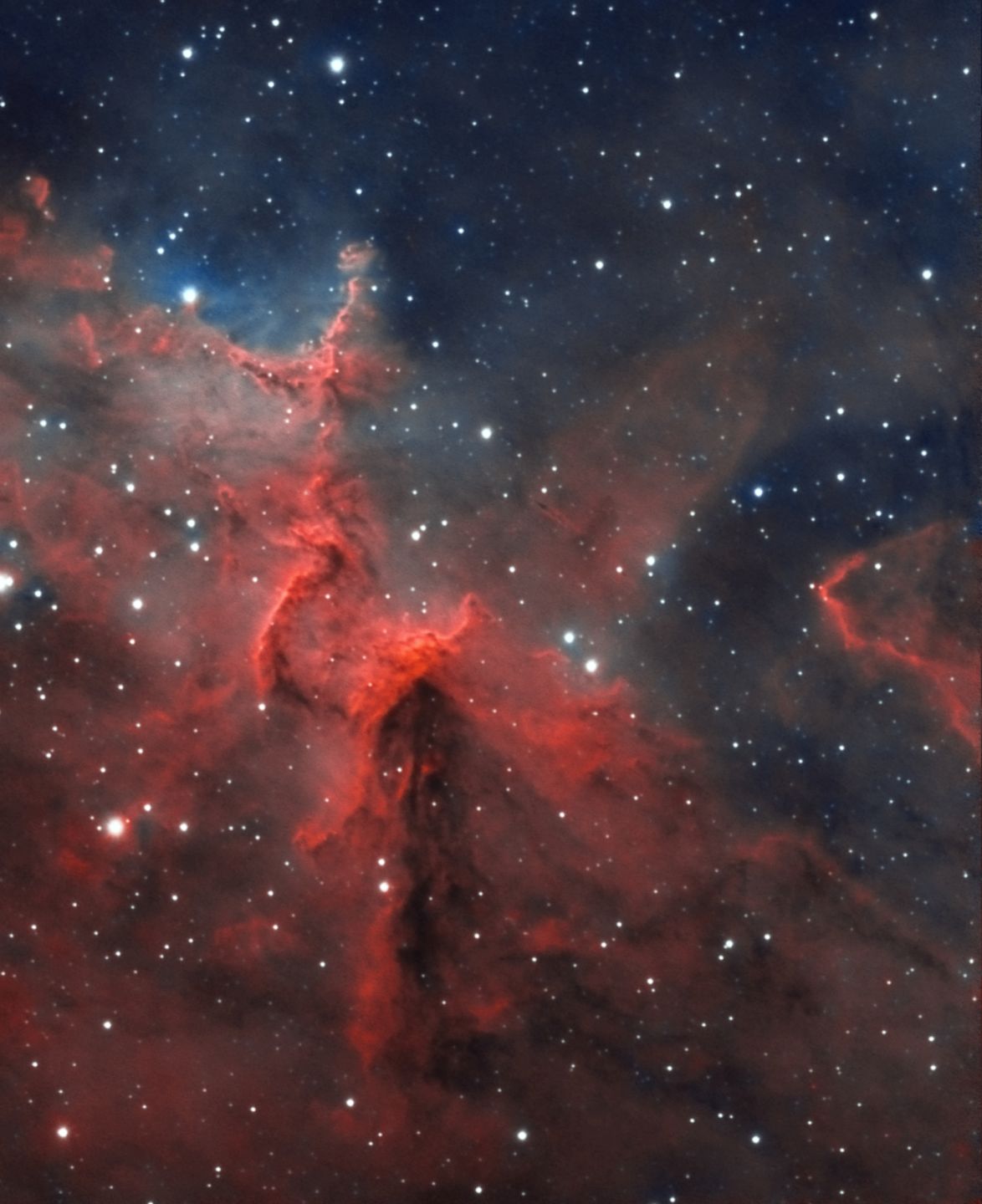 Melotte 15 Teil des Herznebels